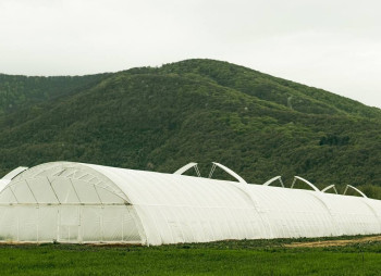 AgroGloryTime - инвестиции в агробизнес Украины по технологии blockchain